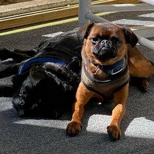 Fundraising Page: Shane Lappert